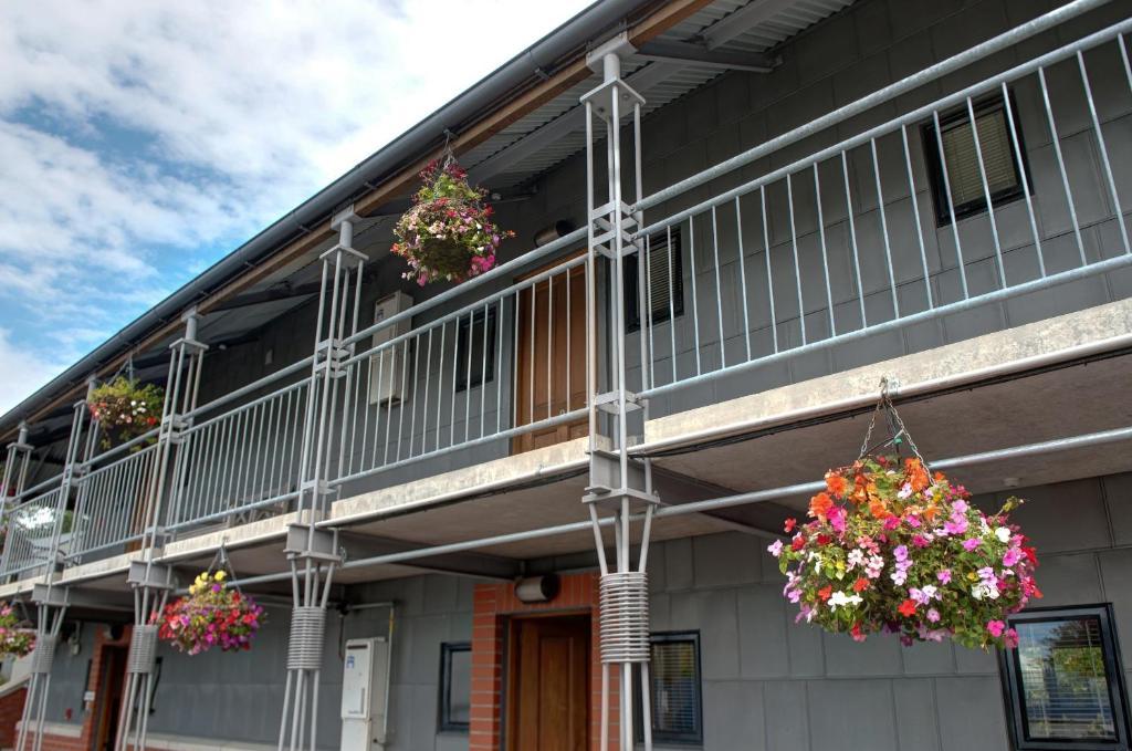 Country Glen Lodge Крайстчърч Екстериор снимка